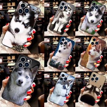 Animal Husky кученце случай за iPhone 15 14 11 Pro Max 12 13 Mini X XS Max XR 7 8 Plus SE 2020 силиконов капак Coque