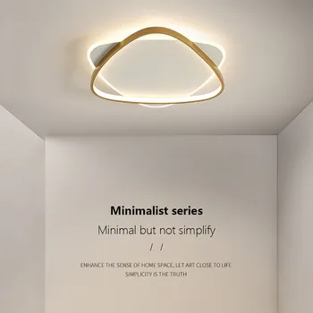 Модерна LED таванна лампа за всекидневна трапезария пътека спалня гардероб таван светлина вътрешен дом декор осветителни тела блясък